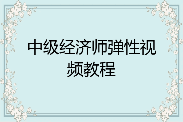中级经济师弹性视频教程