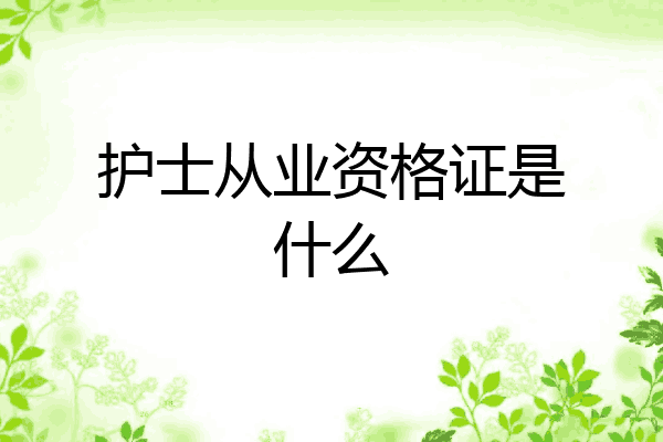 护士从业资格证是什么