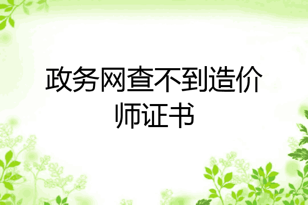 政务网查不到造价师证书