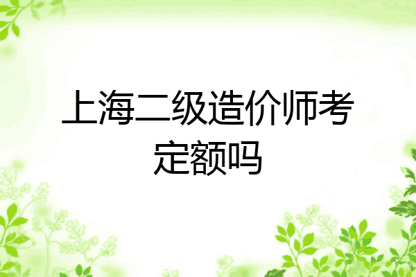 上海二级造价师考定额吗