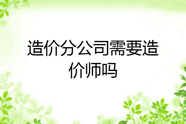 造价分公司需要造价师吗