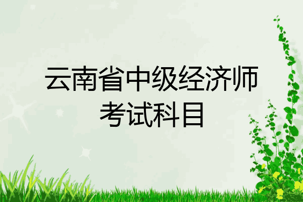 云南省中级经济师考试科目