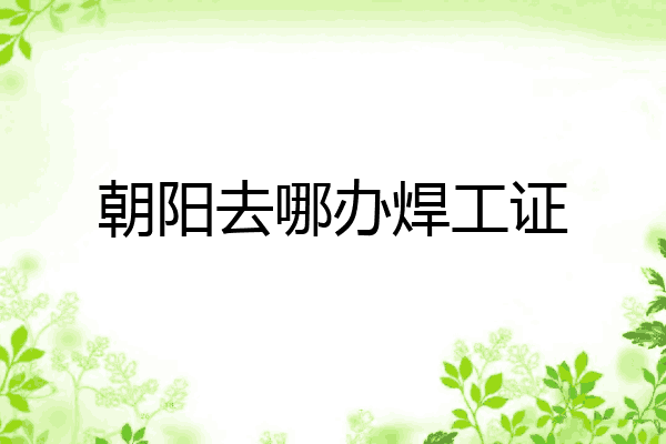 朝阳去哪办焊工证