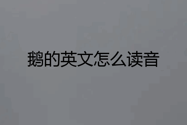 鹅的英文怎么读音