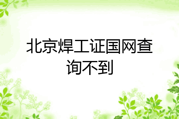 北京焊工证国网查询不到
