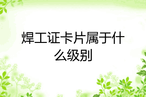 焊工证卡片属于什么级别