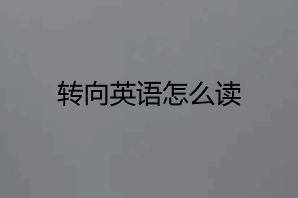 转向英语怎么读