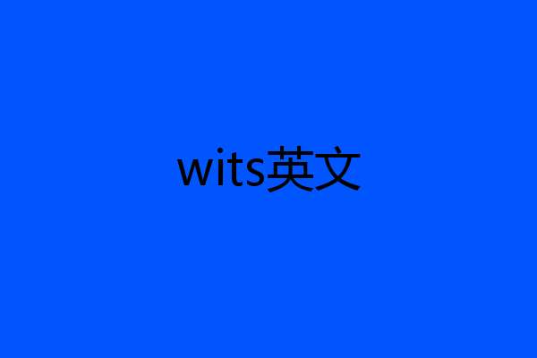 wits英文