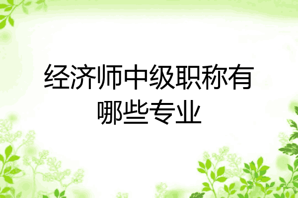 经济师中级职称有哪些专业