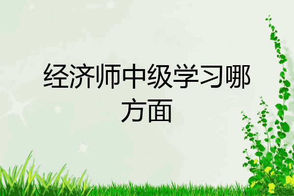 经济师中级学习哪方面