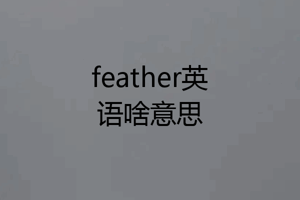 feather英语啥意思