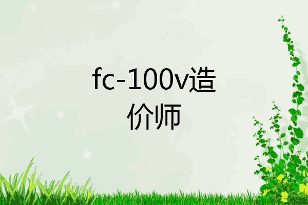 fc-100v造价师
