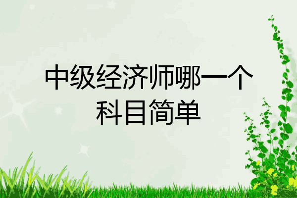 中级经济师哪一个科目简单