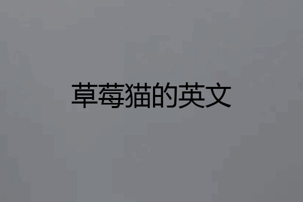草莓猫的英文