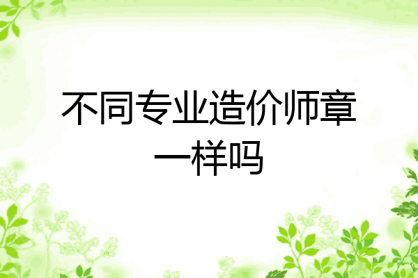 不同专业造价师章一样吗