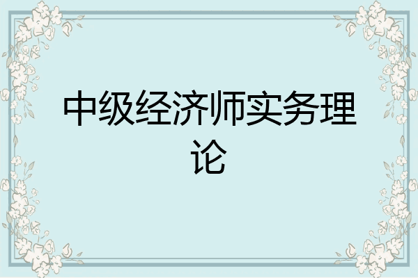 中级经济师实务理论
