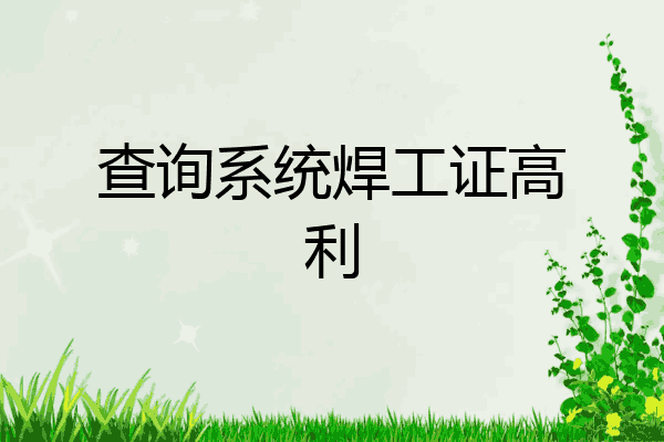 查询系统焊工证高利
