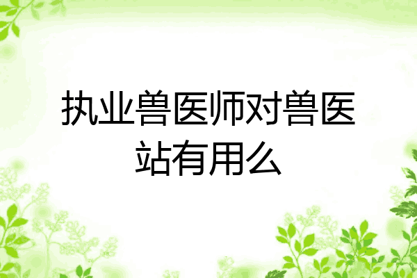执业兽医师对兽医站有用么