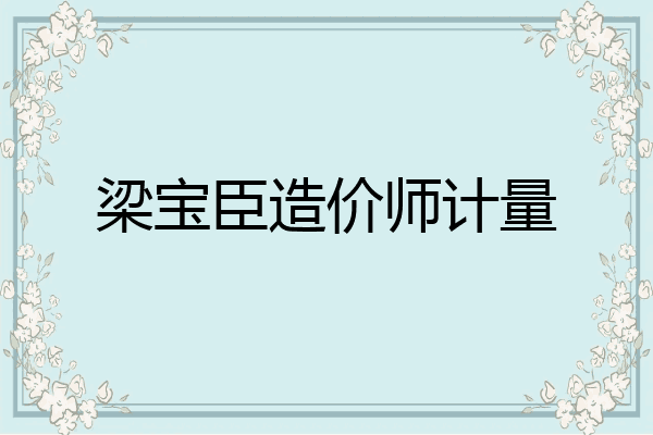梁宝臣造价师计量