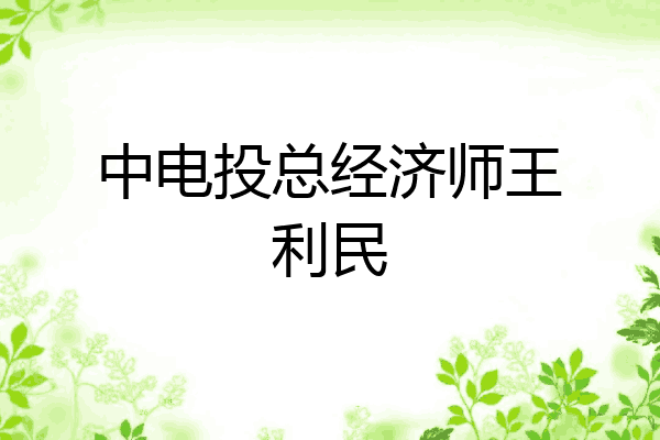 中电投总经济师王利民