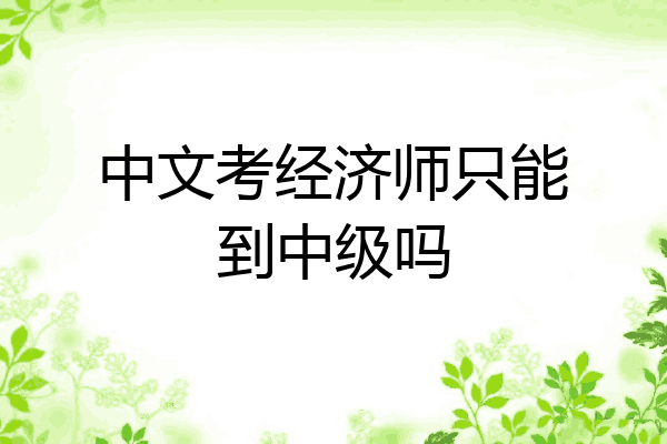 中文考经济师只能到中级吗