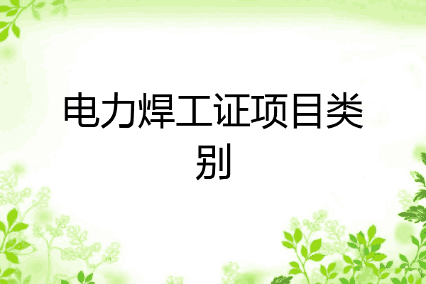 电力焊工证项目类别