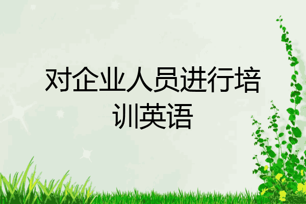 对企业人员进行培训英语