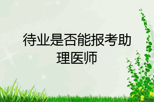 待业是否能报考助理医师