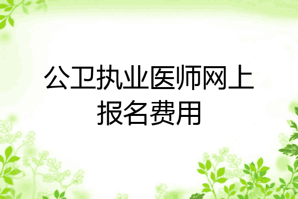 公卫执业医师网上报名费用
