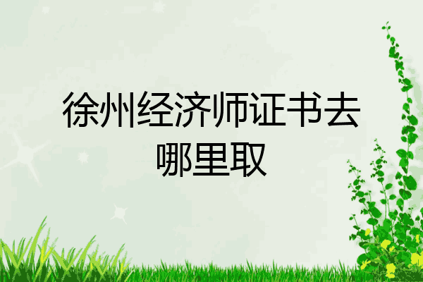 徐州经济师证书去哪里取