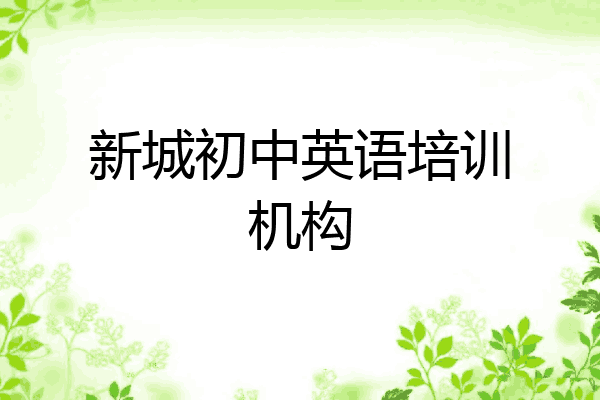 新城初中英语培训机构