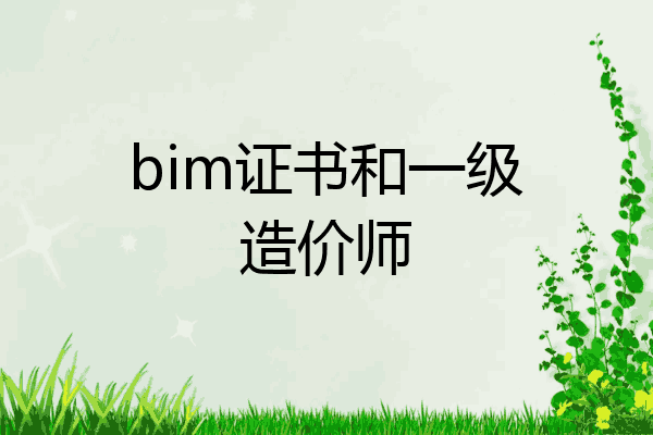 bim证书和一级造价师