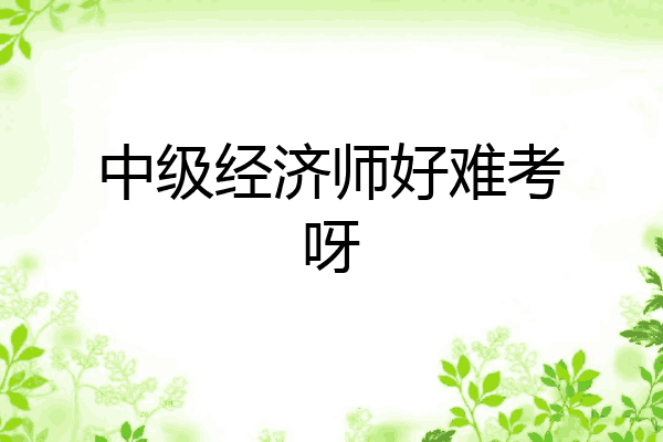 中级经济师好难考呀