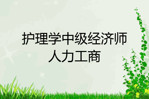 护理学中级经济师人力工商