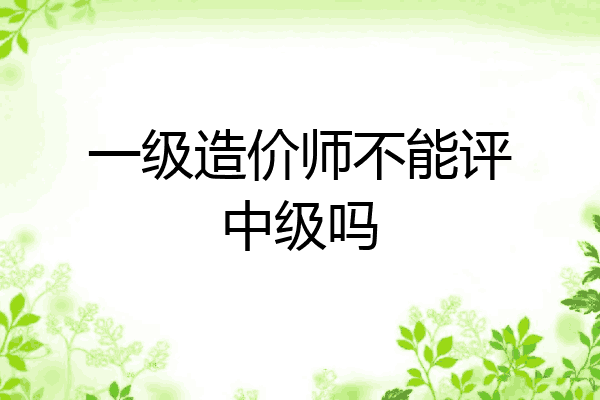 一级造价师不能评中级吗