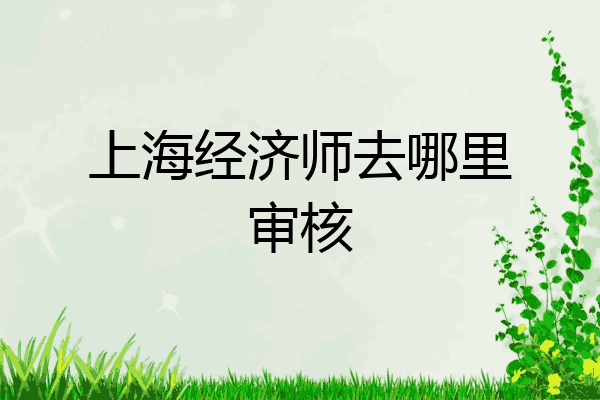 上海经济师去哪里审核