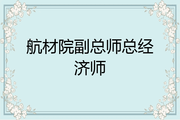 航材院副总师总经济师