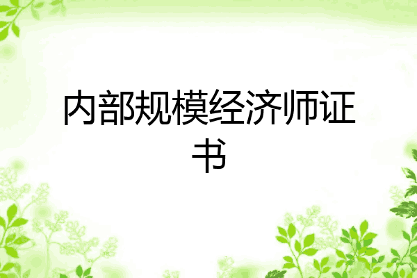 内部规模经济师证书