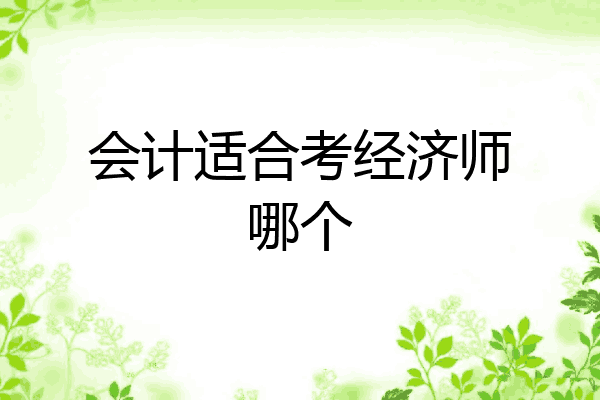 会计适合考经济师哪个