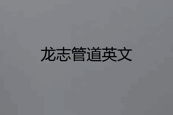 龙志管道英文