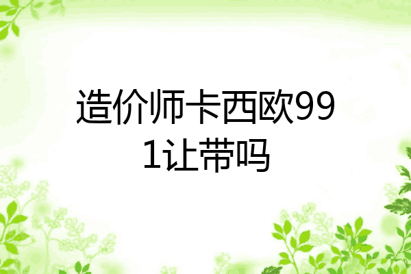 造价师卡西欧991让带吗