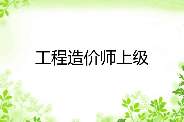 工程造价师上级