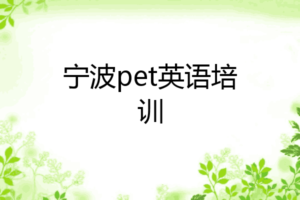 宁波pet英语培训