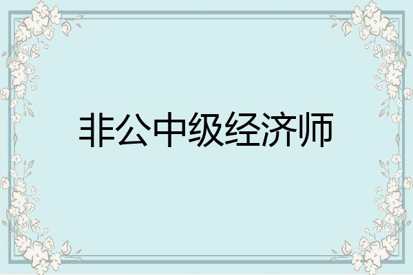 非公中级经济师