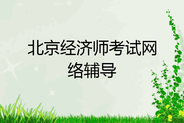 北京经济师考试网络辅导