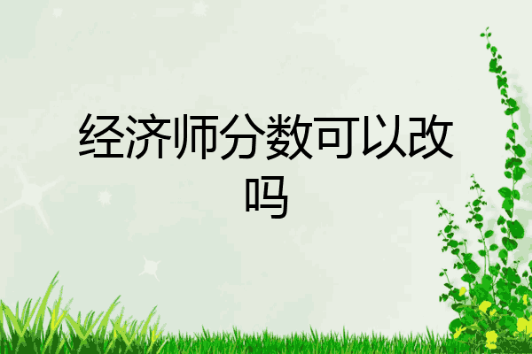 经济师分数可以改吗