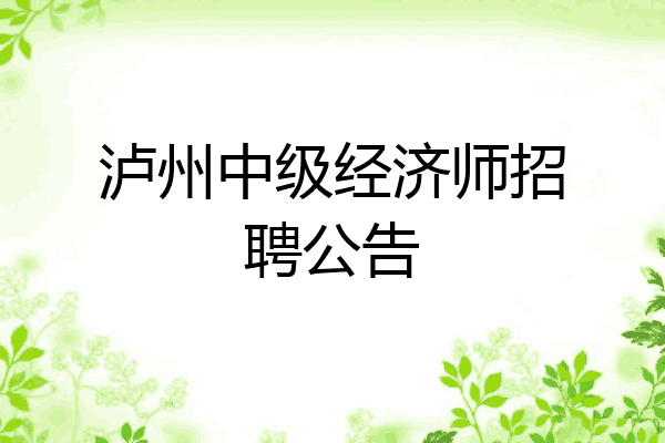 泸州中级经济师招聘公告