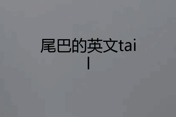 尾巴的英文tail