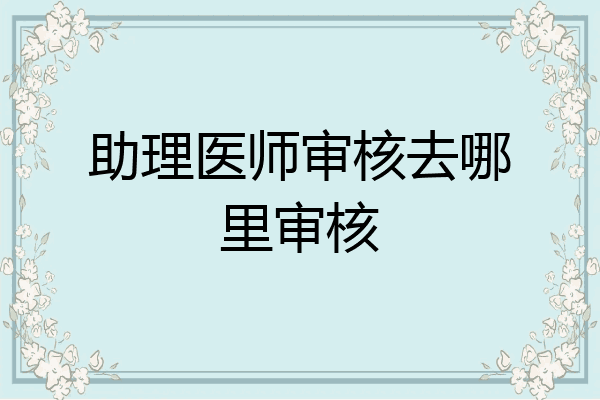 助理医师审核去哪里审核