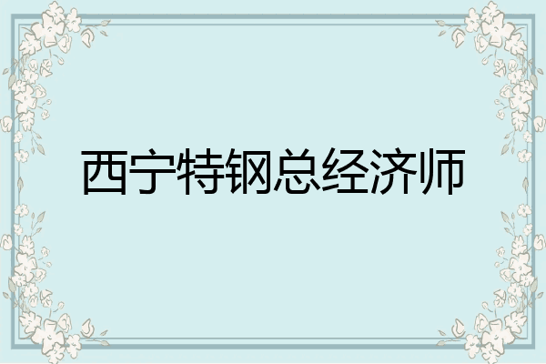 西宁特钢总经济师